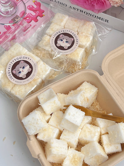 Squishy Tofu Cubes with Coconut Flakes 9 Pcs