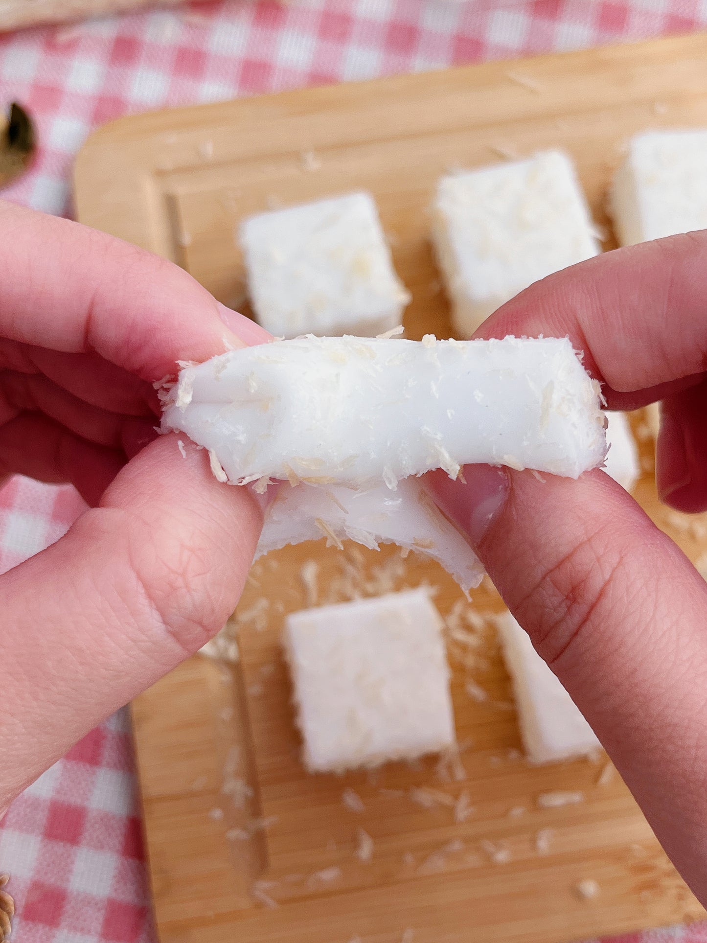 Squishy Tofu Cubes with Coconut Flakes 9 Pcs