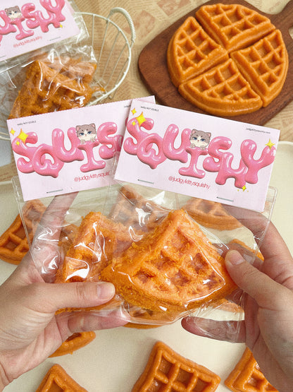 Judgy Kitty Waffle Stress-Relief Squishy