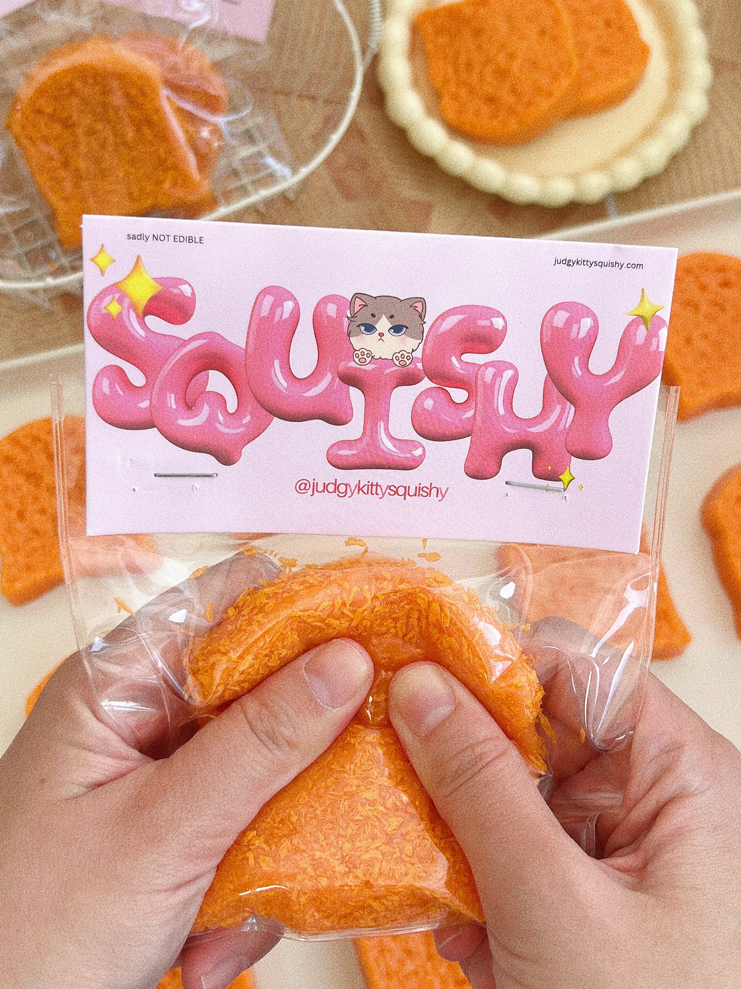 Judgy Kitty Fried Toast Slice Squishy Toy